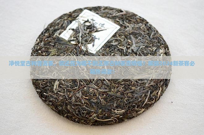 净悦堂古树普洱茶