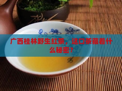 广西桂林野生红茶是什么茶