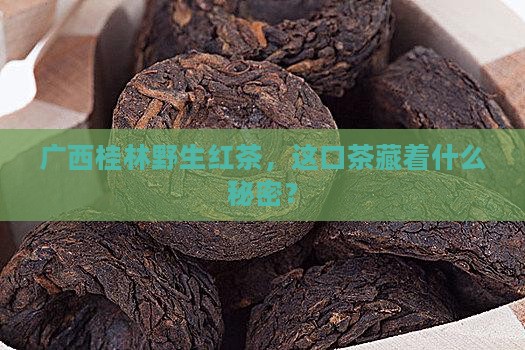 广西桂林野生红茶是什么茶