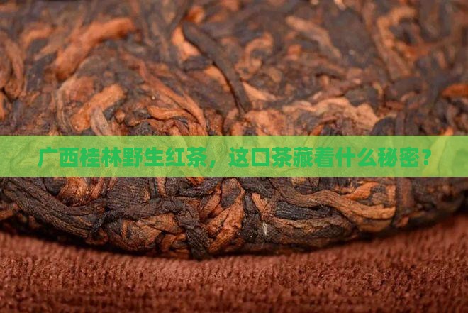 广西桂林野生红茶是什么茶
