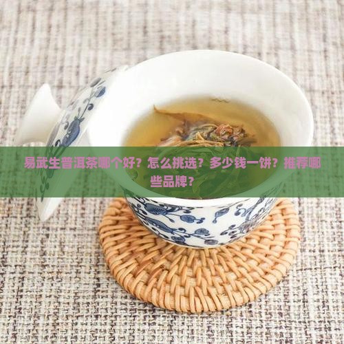 易武生普洱茶推荐