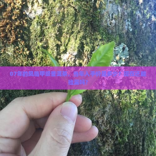 07年凤临甲级普洱茶价格