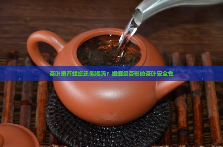 茶叶里有蟑螂还能喝吗