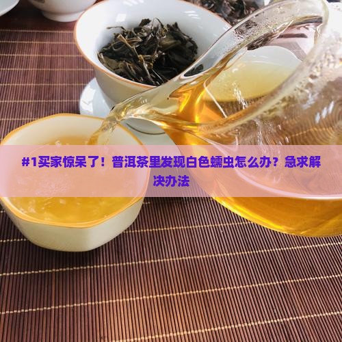 普洱茶白色蠕虫