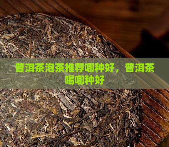 普洱茶泡茶推荐哪种