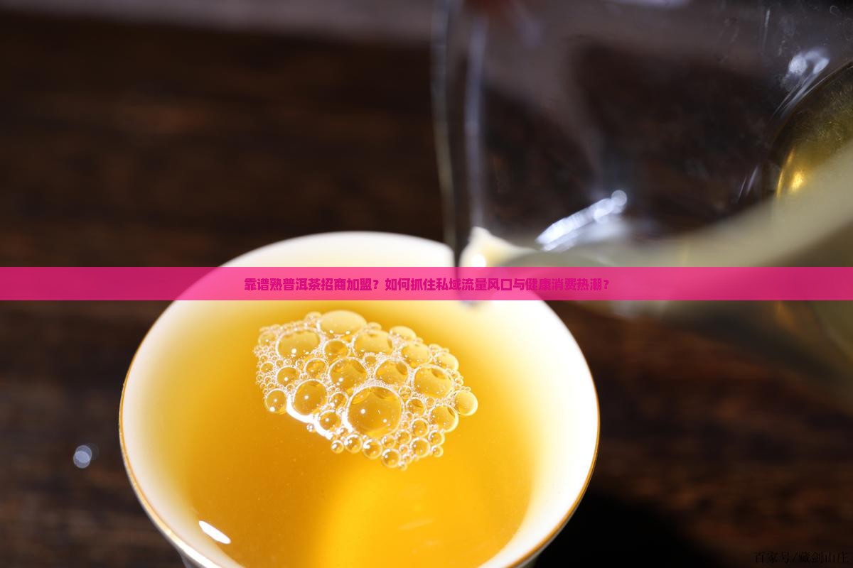 靠谱熟普洱茶招商加盟
