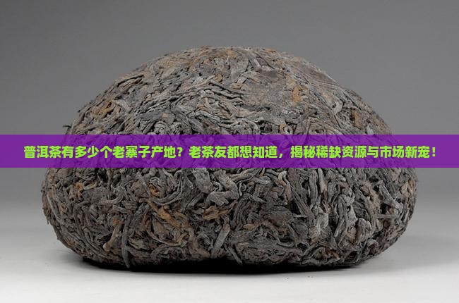 普洱茶有多少个老寨子产地