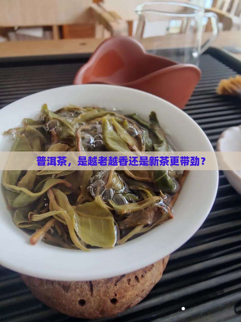 普洱茶老的好还是新的好呢