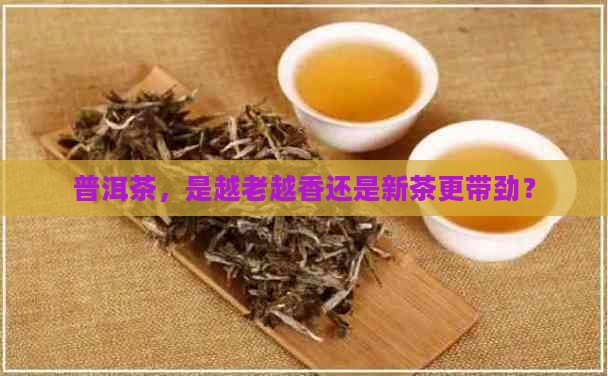 普洱茶老的好还是新的好呢