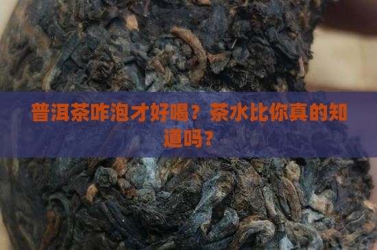 普洱茶泡茶茶水比