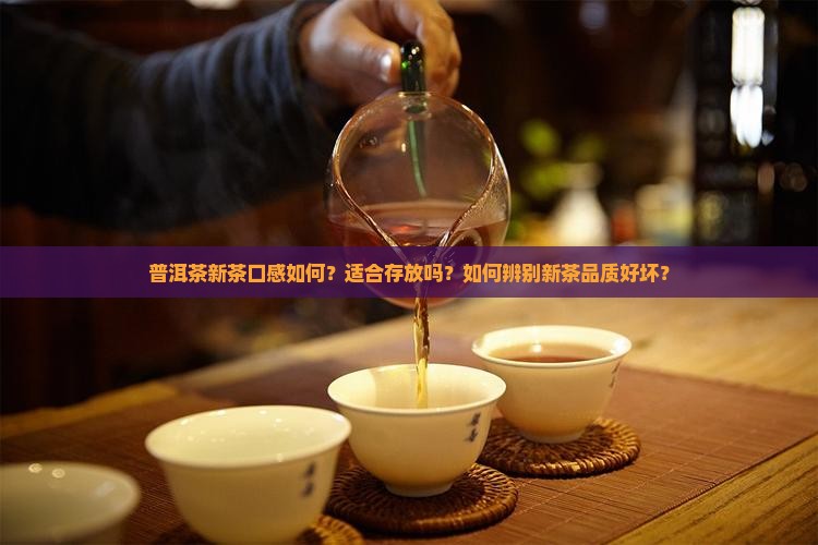 普洱茶新茶怎么样
