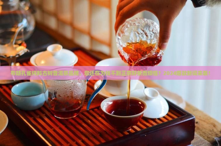 布朗孔雀纯料古树普洱茶品牌