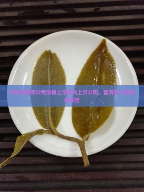 为什么没有普洱茶上市公司