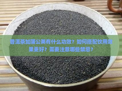 普洱茶加蒲公英