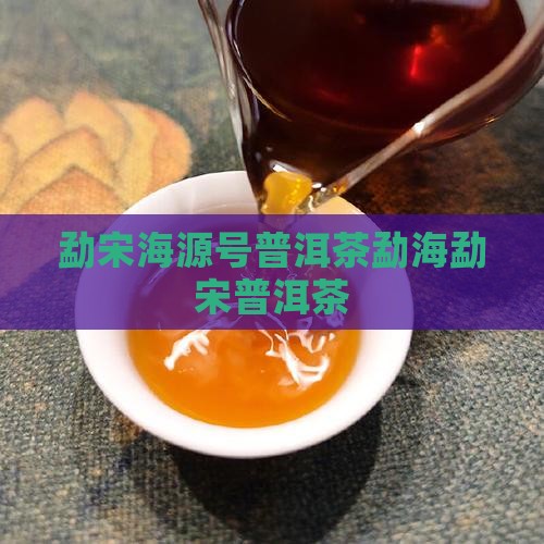 勐宋海源号普洱茶