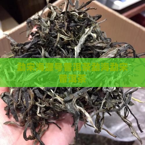 勐宋海源号普洱茶