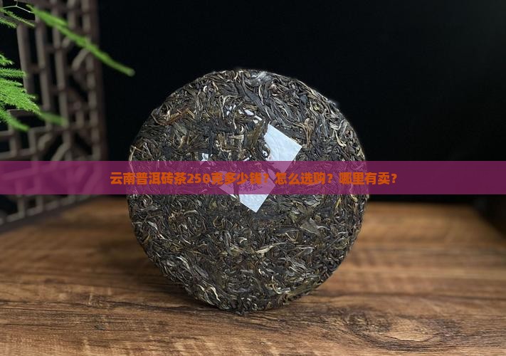 云南普洱砖茶250克