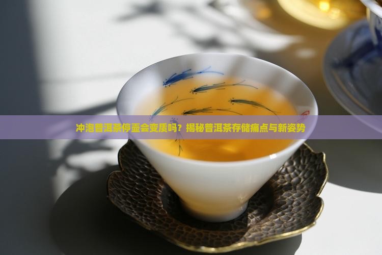 冲泡普洱茶停壶会怎么样