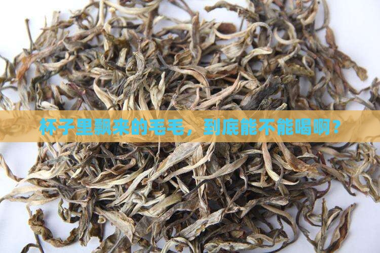 红茶里面的毛毛能喝吗