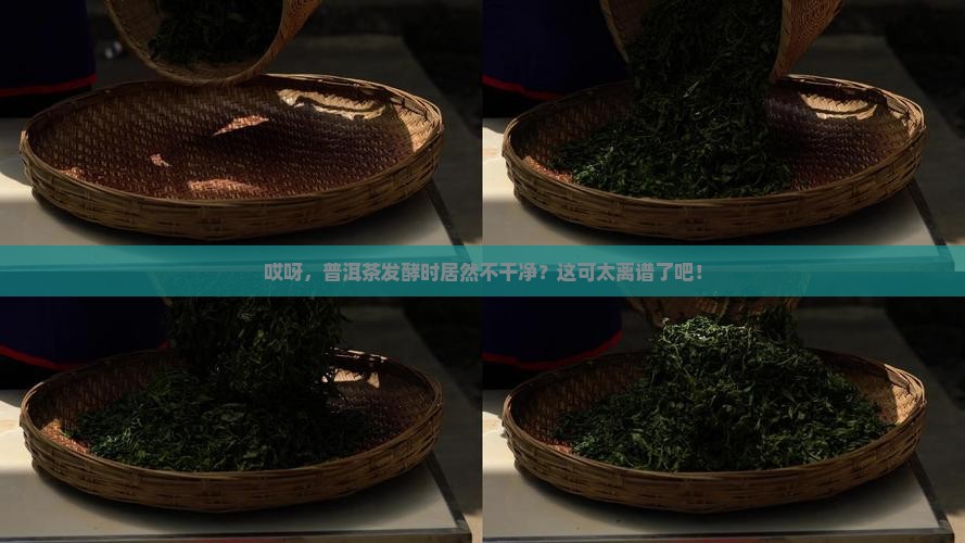 普洱茶发酵时不干净