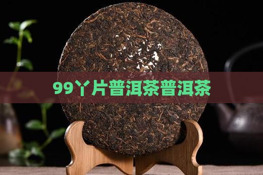 99丫片普洱茶