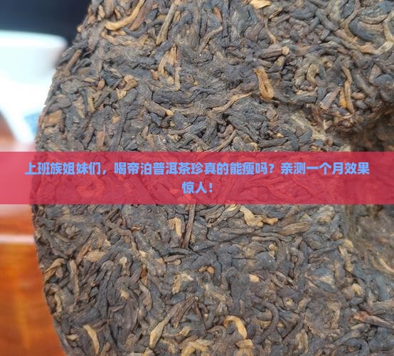 帝泊普洱茶珍减肥