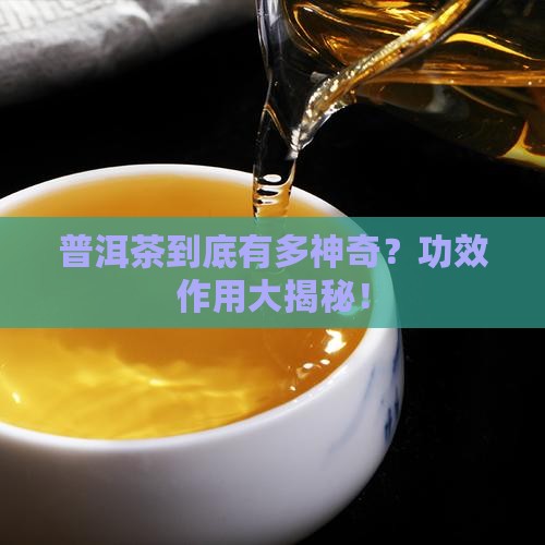 普洱茶的功效和作用是什么意思