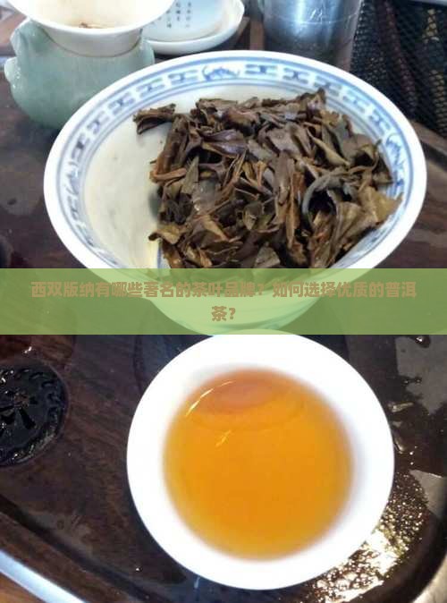 西双版纳的茶叶品牌 西双版纳的茶叶品牌