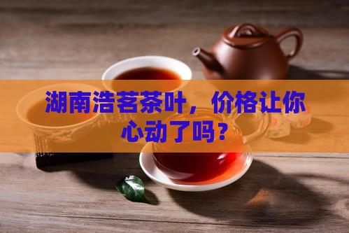 湖南浩茗茶叶价格