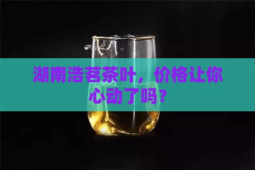 湖南浩茗茶叶价格