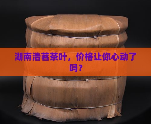 湖南浩茗茶叶价格