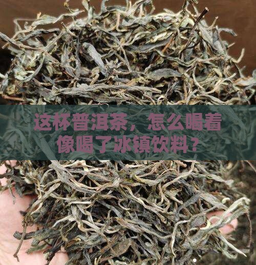 喝着有清凉感的普洱茶