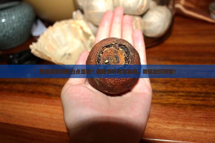 熟普洱茶饼有白点是啥 熟普洱茶饼有白点是啥
