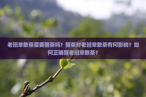 老班章散茶用醒茶吗