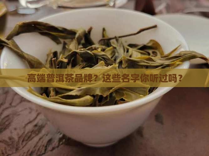 高端系列普洱茶品牌有哪些