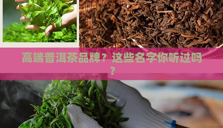 高端系列普洱茶品牌有哪些