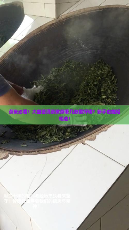 大益普洱茶散茶哪款好喝
