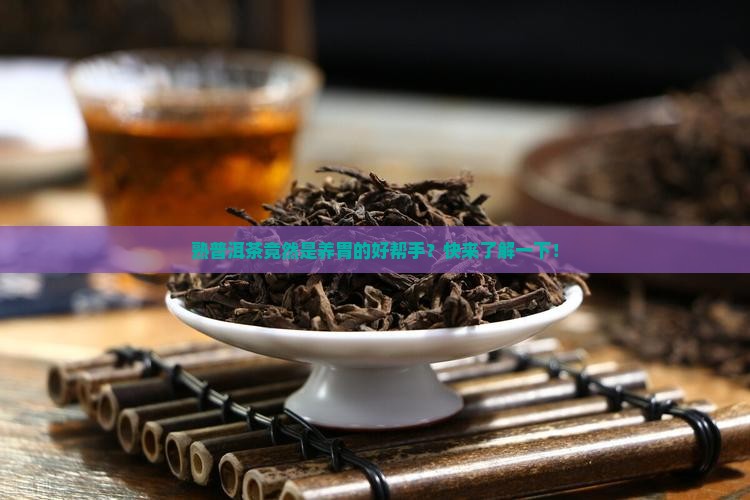 熟普洱茶也是养胃的哟