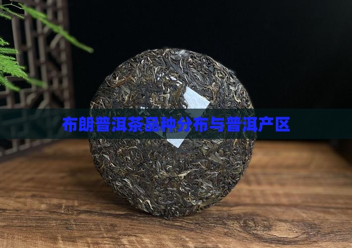 布朗山普洱茶品种分布