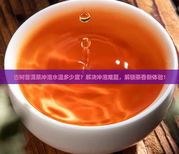 古树普洱茶冲泡水温多少度