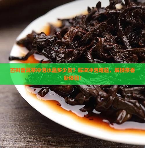 古树普洱茶冲泡水温多少度