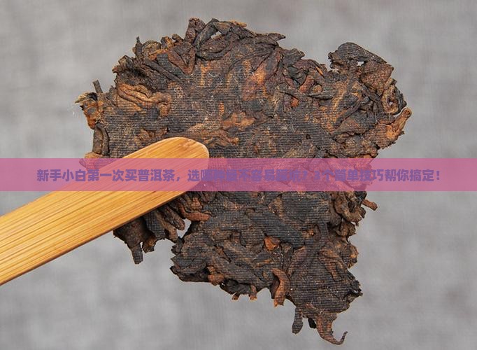 怎么选够普洱茶