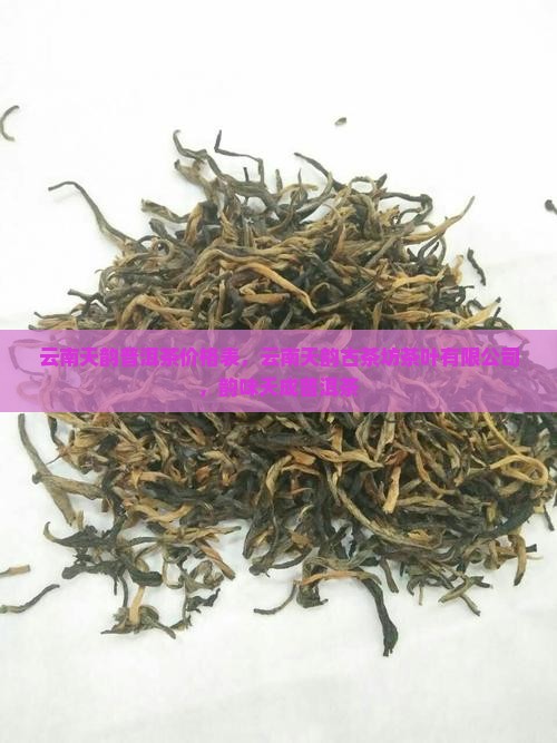 云南天韵普洱茶
