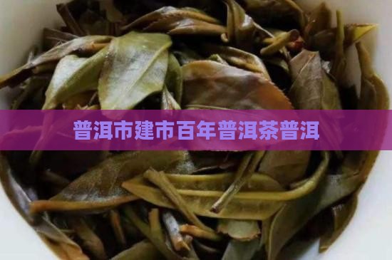 普洱市建市100年普洱茶