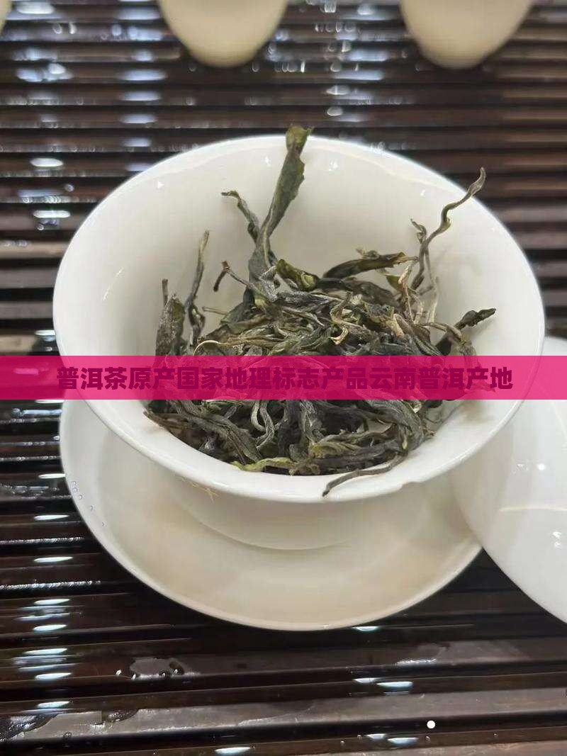 普洱茶原产国家