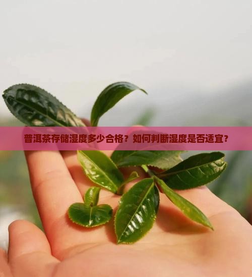 普洱茶湿度多少合格