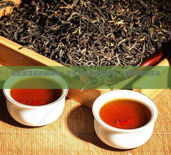 什么是普洱茶的群体种