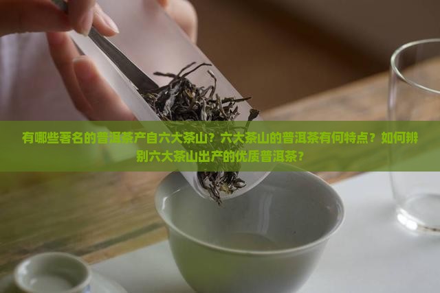 六大茶山有名的普洱茶
