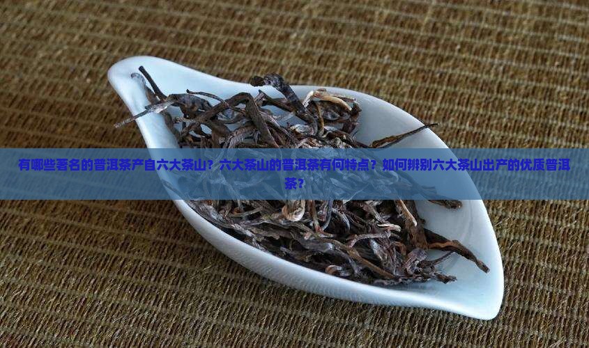 六大茶山有名的普洱茶