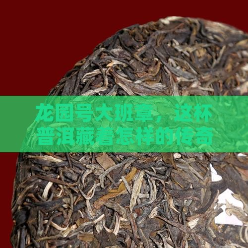 龙园号大班章普洱茶